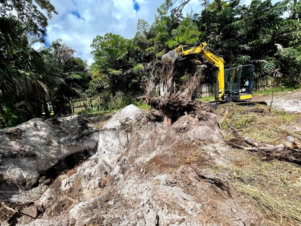 Land clearing excavator Palm Beach Florida